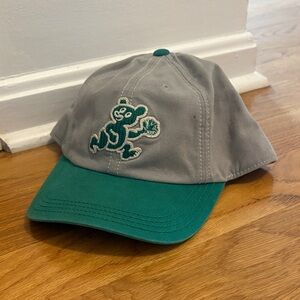 Chicago Cubs Gray  American Needle Baseball Cap with Bear Patch